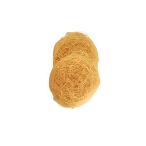 TealB - African Wooden Sponge