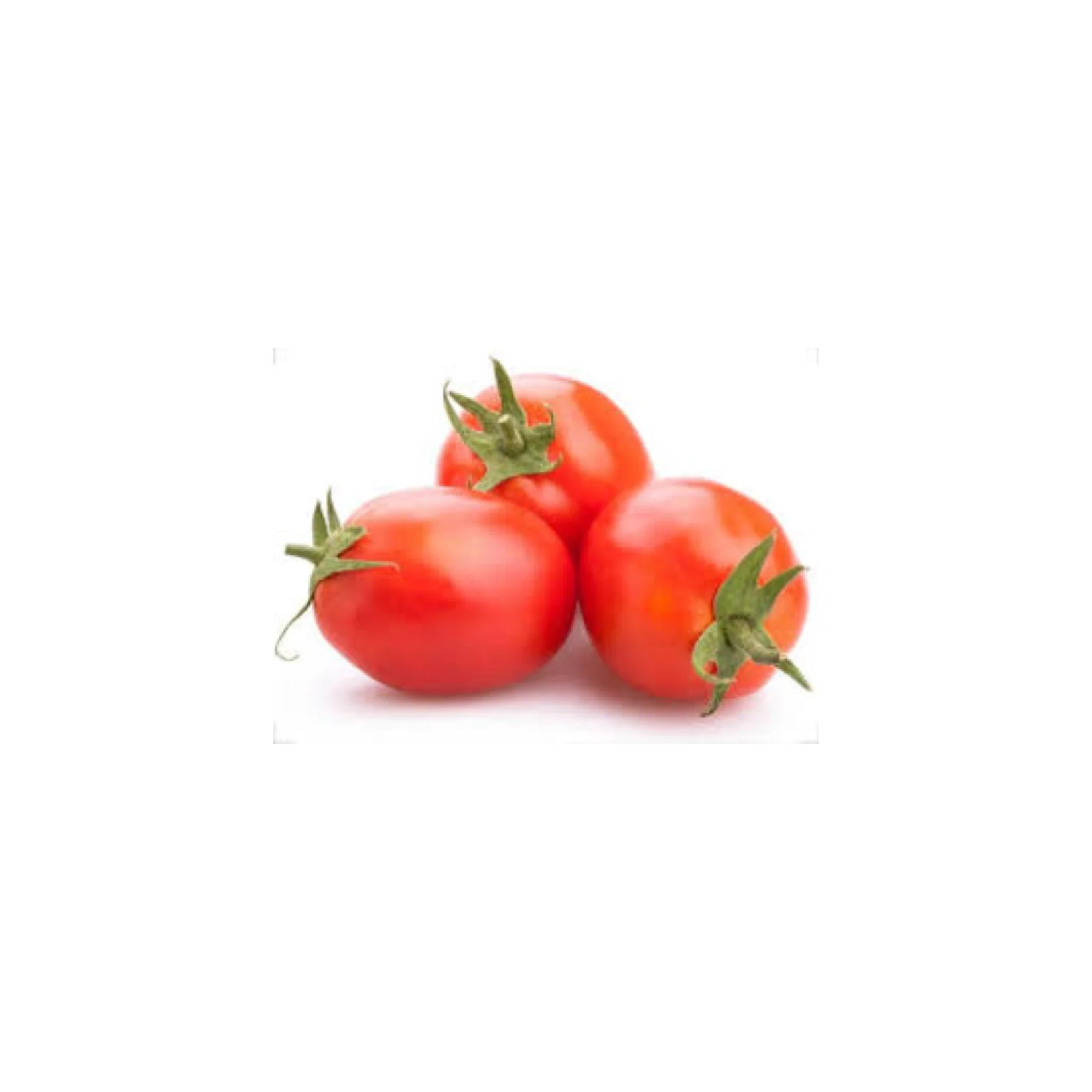 TealB - Fresh Roma Tomatoes