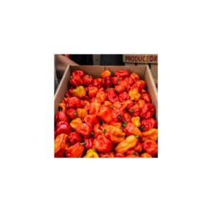 TealB - Fresh Red Habanero